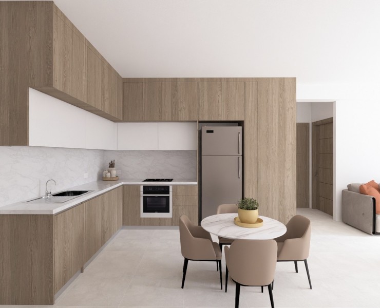 Lakatameia - Anthoupolis Penthouse For Sale | C12515