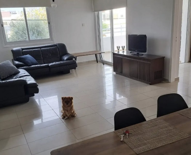 Strovolos - Chryseleousa Apartment For Sale | C12809