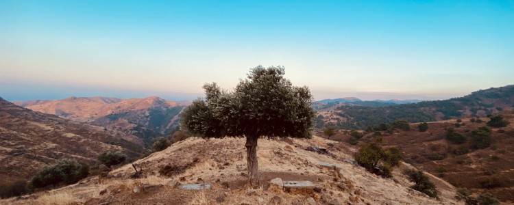 Decoding the Cyprus Real Estate Landscape: A Comprehensive Guide