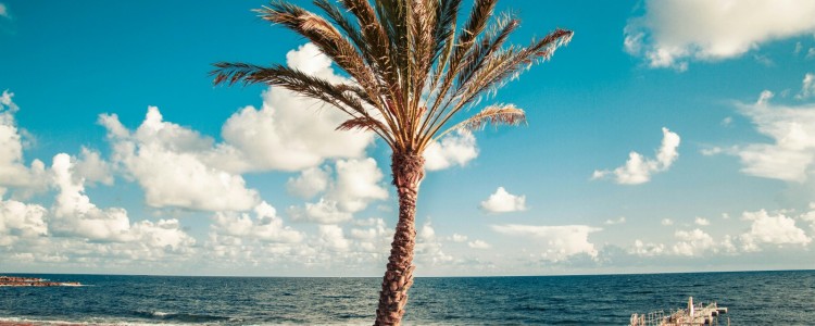 Embrace the Mediterranean Dream: Living the Cyprus Lifestyle in Your Dream Home