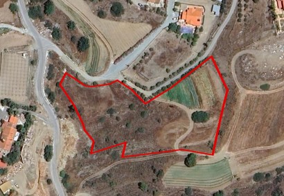 Pyrgos Lemesou, Limassol Agricultural Land For Sale | C3259