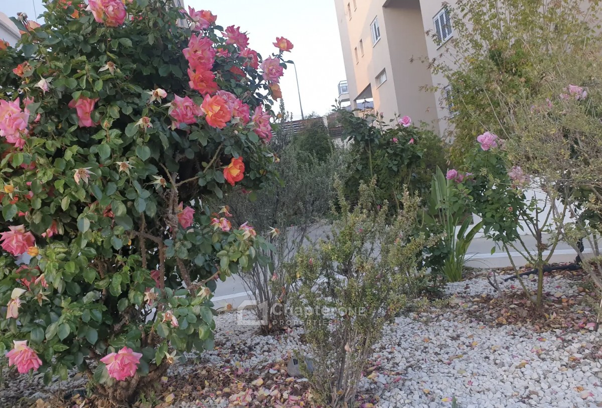 Apartment For Sale  in  Latsia - Agios Eleftherios