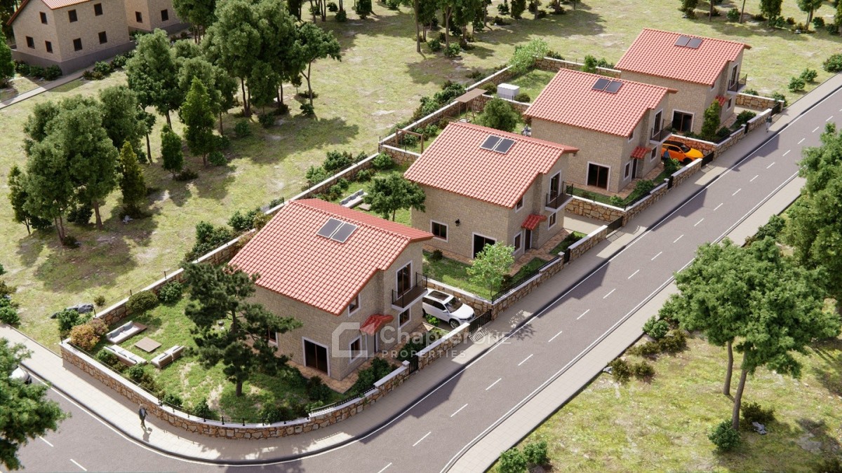 Detached Villa For Sale  in  Souni