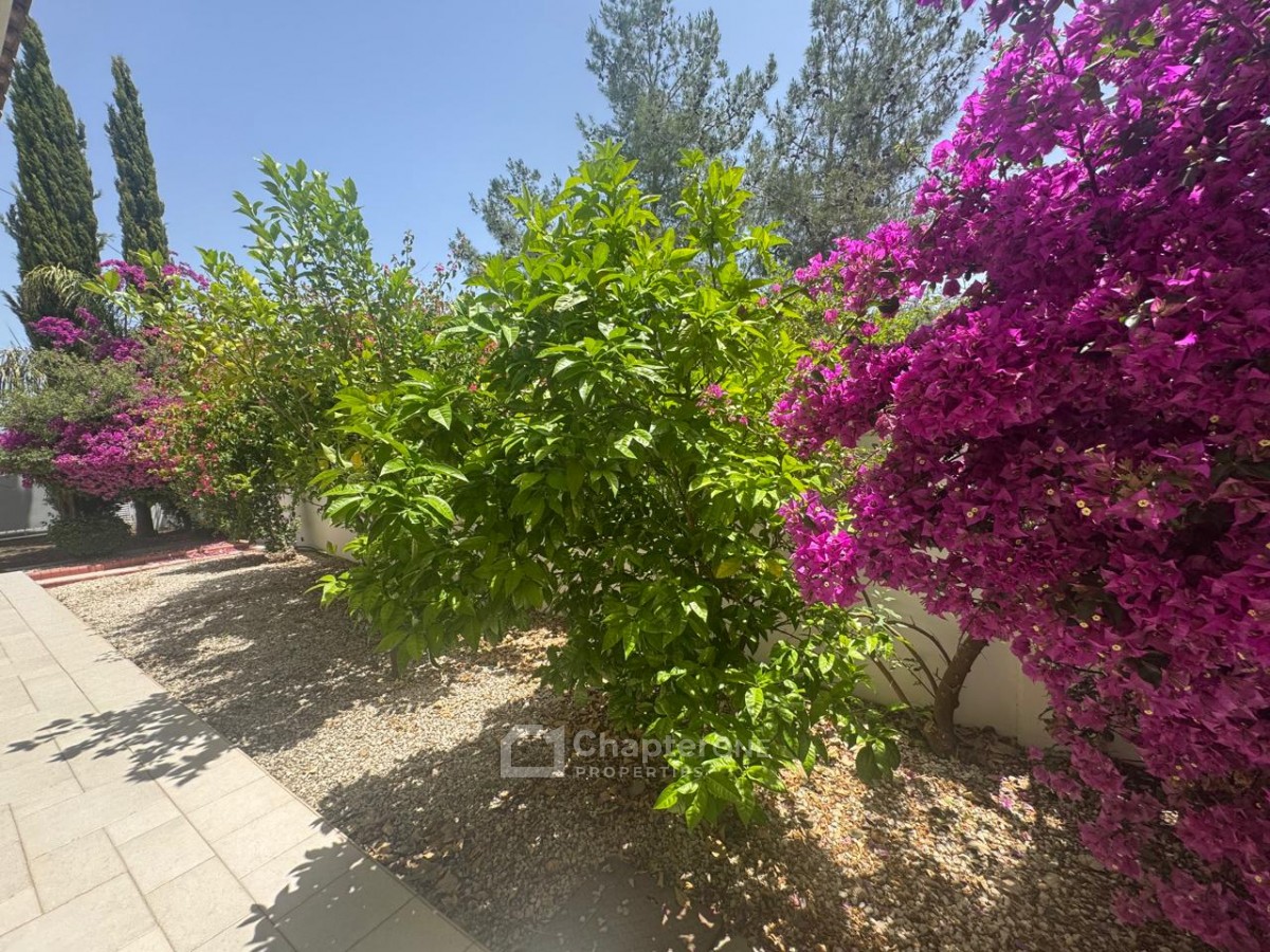 Detached Villa For Rent  in  Strovolos
