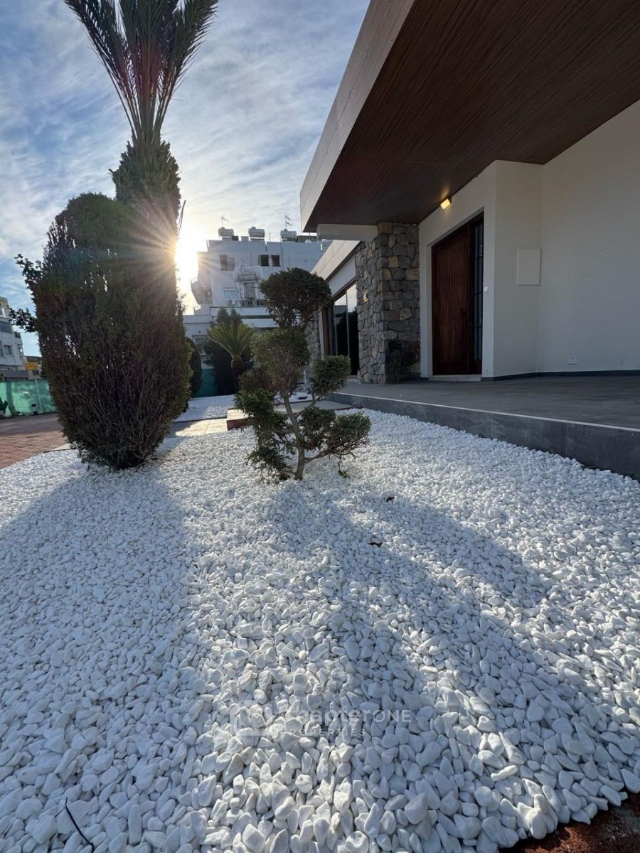 Commerical Building For Rent  in  Limassol - Katholiki