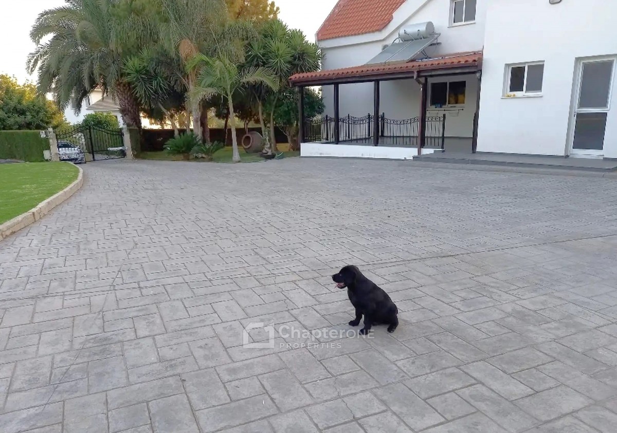 Detached Villa For Sale  in  Pentakomo