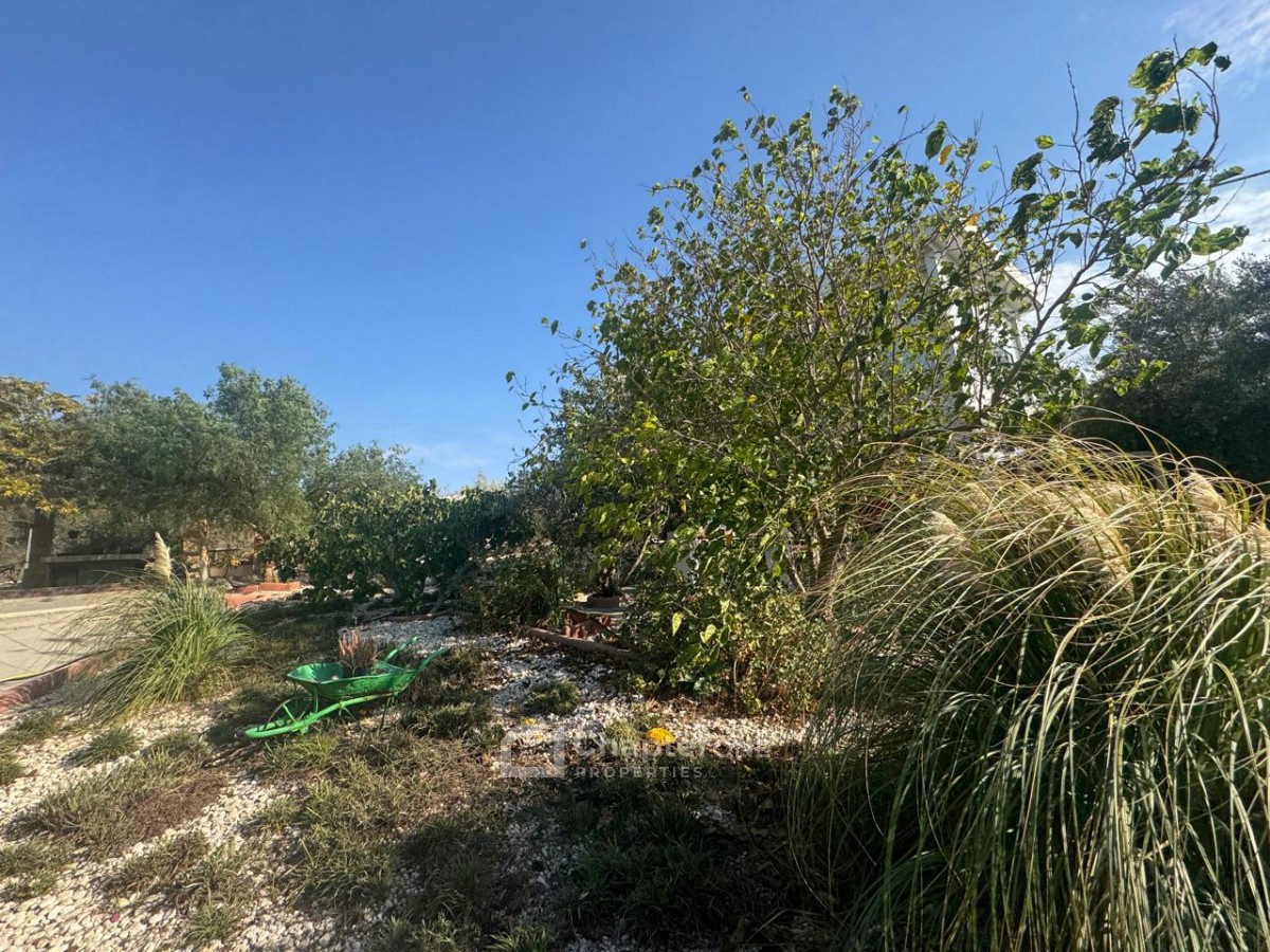 Detached Villa For Rent  in  Deneia