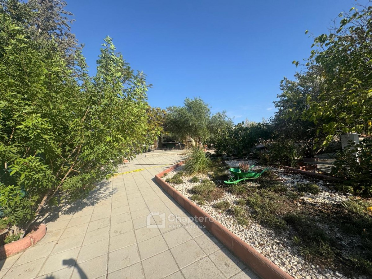 Detached Villa For Rent  in  Deneia