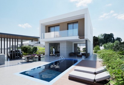 Tala, Paphos Detached Villa Sold | C8744
