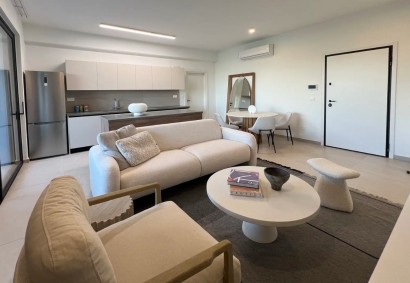 Lakatameia - Agios Nikolaos Penthouse For Sale | C8848