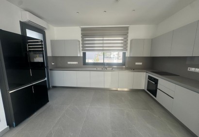 Latsia - Agios Georgios Detached Villa For Rent | C8861