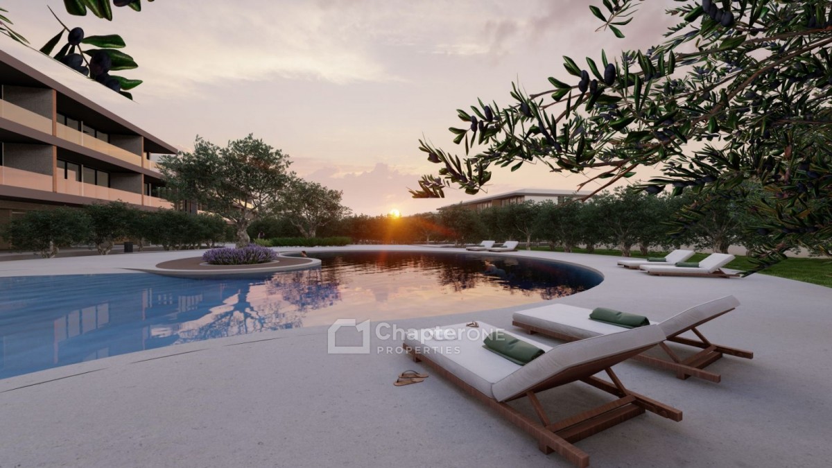 Apartment For Sale  in  Anarita