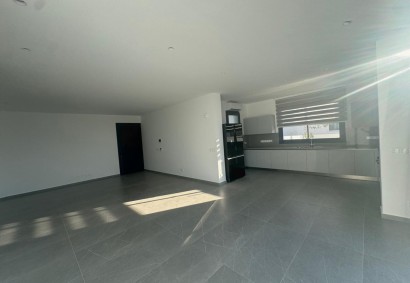 Strovolos - Stavros, Nicosia Detached Villa For Rent | 9222