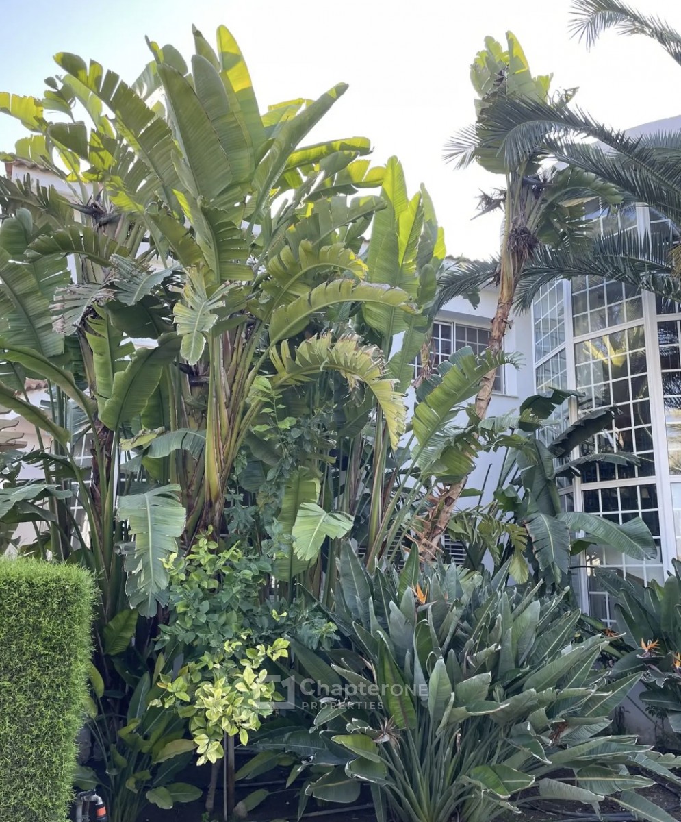 Detached Villa For Rent  in  Egkomi - Parissinos