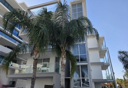 Egkomi, Nicosia Apartment For Rent | C9518