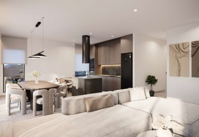 Agioi Omologites, Nicosia Penthouse For Sale | C10132