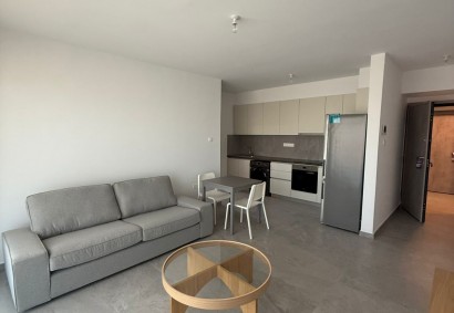 Aglantzia, Nicosia Apartment For Rent | C11705