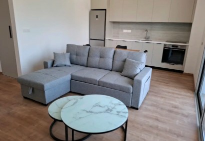 Egkomi - Makedonitissa, Nicosia Penthouse For Rent | C11836