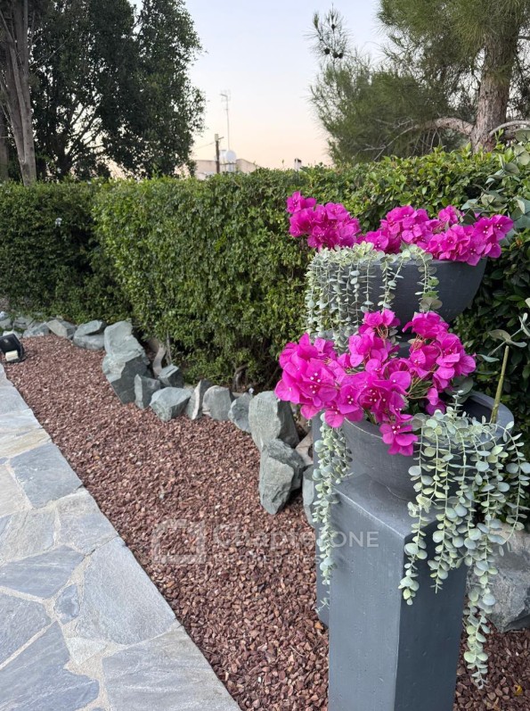 Detached Villa For Sale  in  Egkomi