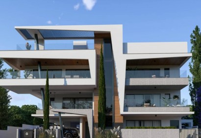 Lakatameia - Anthoupolis Penthouse For Sale | C9491