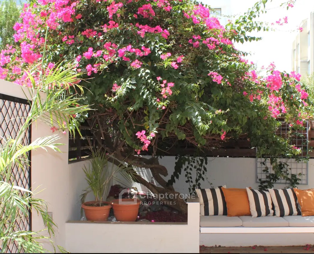Ground Floor Apartment For Rent  in  Agioi Omologites