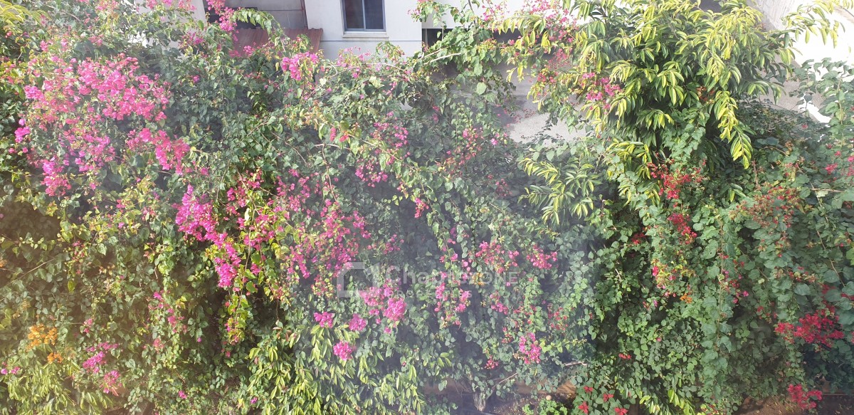Apartment For Rent  in  Strovolos - Acropolis