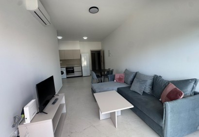 Egkomi, Nicosia Apartment For Rent | C12317