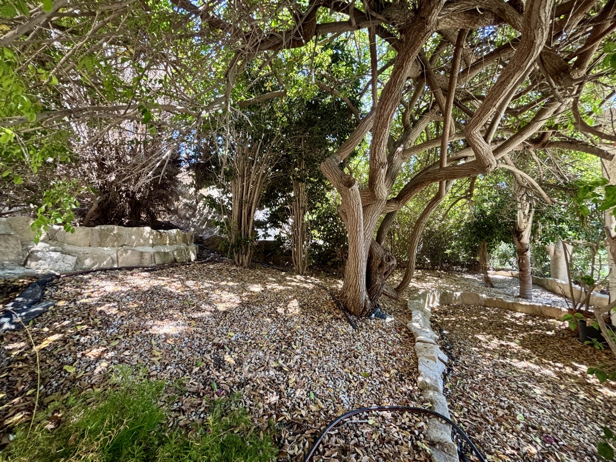 Detached Villa For Sale  in  Tala