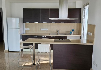 Agios Antonios, Nicosia Apartment For Rent | C9563