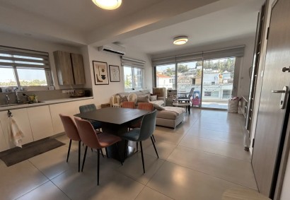 Platy, Nicosia Apartment For Rent | C12530