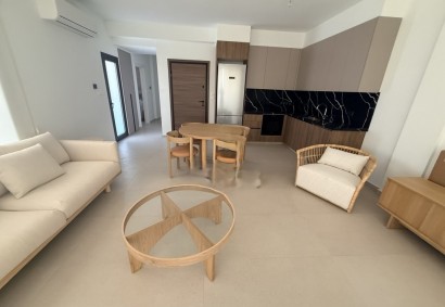 Platy, Nicosia Apartment For Rent | C11389