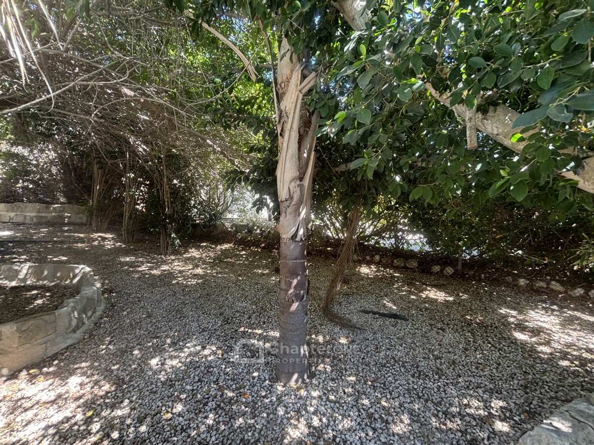 Detached Villa For Sale  in  Tala