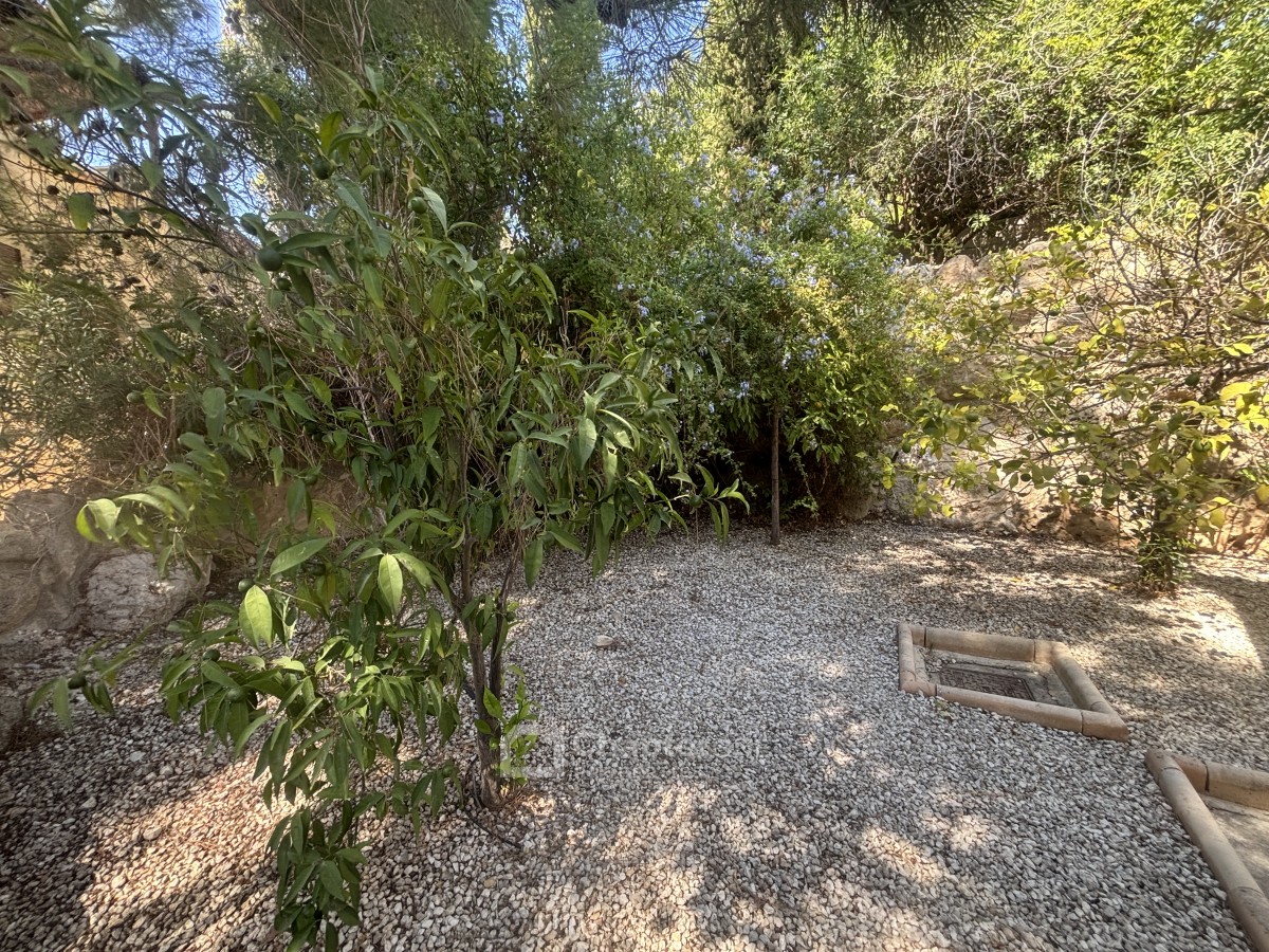 Detached Villa For Sale  in  Tala