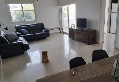 Strovolos - Chryseleousa Apartment For Sale | C12809