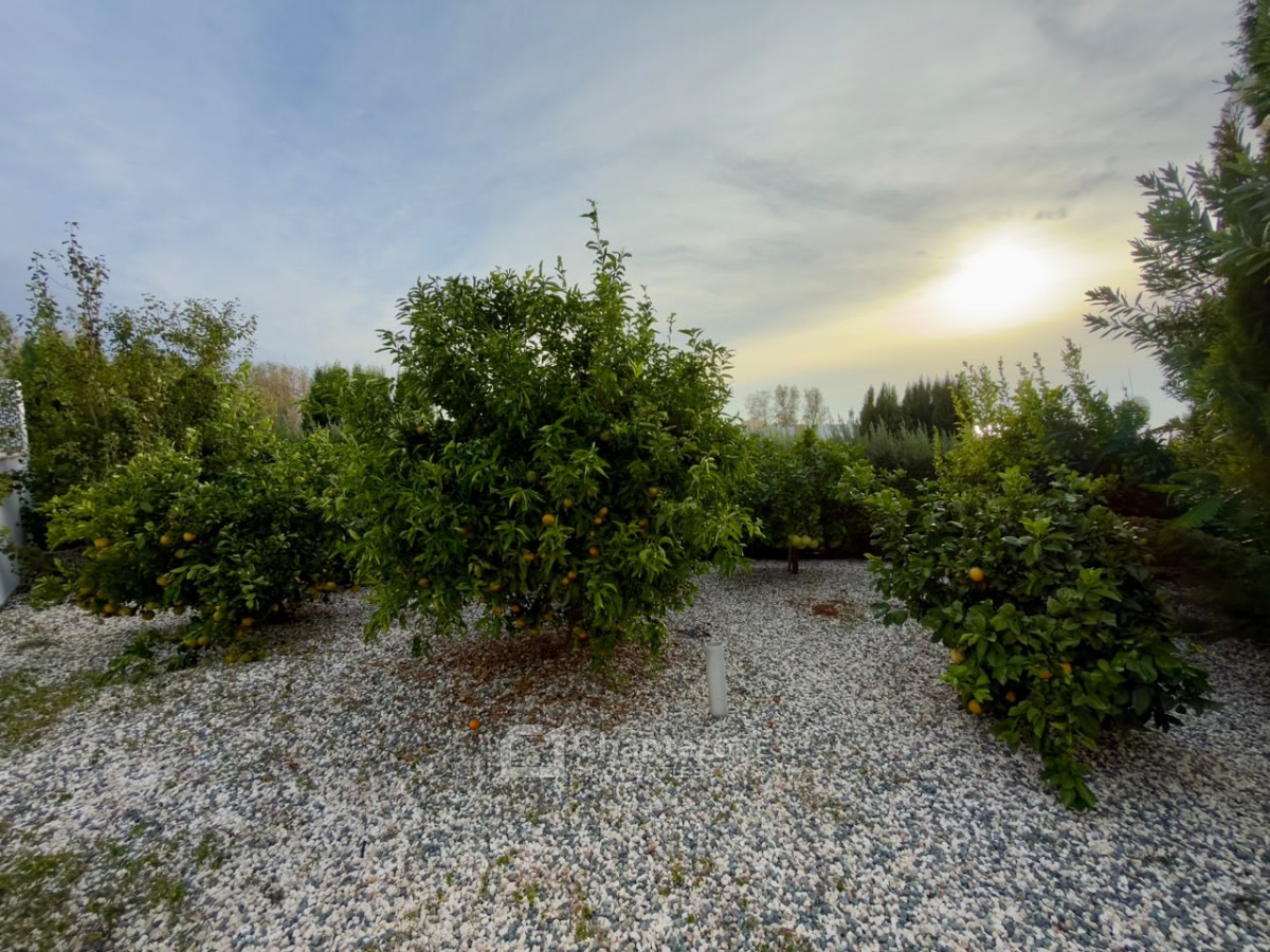 Detached Villa For Sale  in  Peyia - St. George